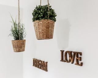 Lemon House GREEN - Pise - 6