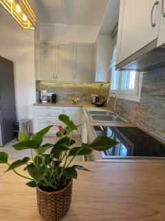 Nano's House Οροφοδιαμέρισμα στο κέντρο - Spetses - 6