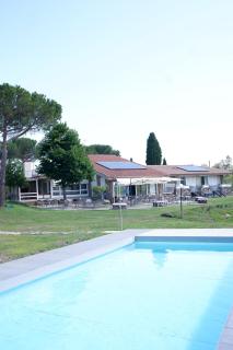 Casa di Palaia - Strada - 0