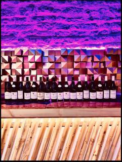 Domaine Les Hauts Prés - Villaines-les-Prévôtes - 5