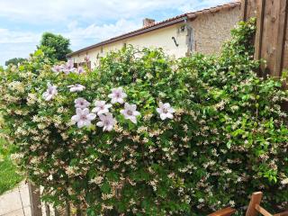 Gîte Cosy Grand confort dans un écrin de verdure - Agudelle - 7
