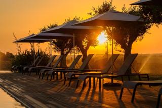 Herdade da Cortesia Hotel - Aviz - 1