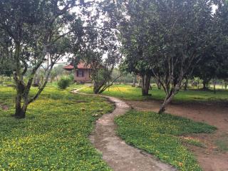 Green Hope Lodge - Cat Tien - 7