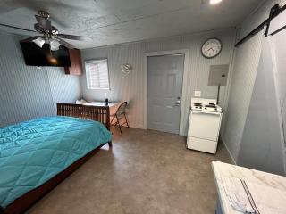 Seagull Seaclusion - 6