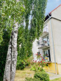 Okrzei 15 - poczuj się jak w domu - Sopot - 6