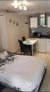 Charmant studio 2* rdc+ terrasse & parking privé - Aix-les-Bains - 8