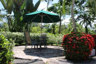 Tropical Bliss Pool Wi-Fi BBQ Near Quepos Manuel Antonio - Quepos - 4