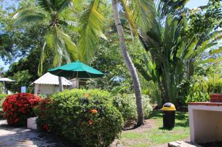 Tropical Bliss Pool Wi-Fi BBQ Near Quepos Manuel Antonio - Quepos - 2
