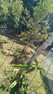 Espaces Zens&Stimulants grand confort 3ch 3sdb Espaces Jardin Cuisines Sport & Baignade - 8