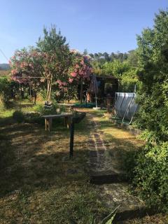 Le Rose , Relax in Casolare del 1700 - Sarzana - 5