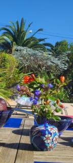 Bienvenue chez Lilaroma - 2