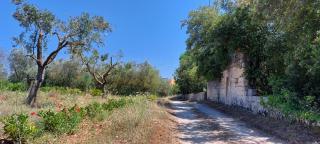 Villa PARADISO - Tra Ulivi e Tramonti da Cartolina - 1