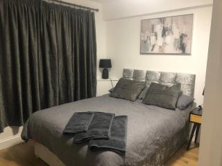 Modern En-suite Double Room - Newport - 1