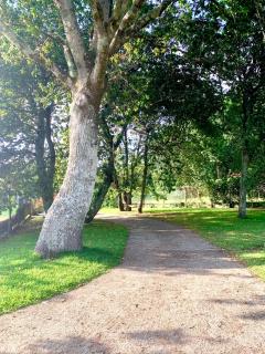 Villa a 300 metros de playa Francón - 4