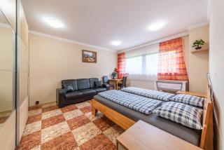 Apartmán blizko centra Prahy - Prague - 9