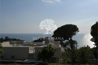 Relais Ulivo Ariana - Gaeta - 9