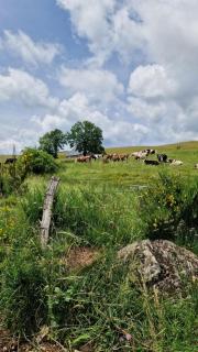 La ferme de Jouane - Besse-et-Saint-Anastaise - 1
