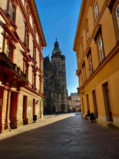 Apartment in city center - Košice - 8