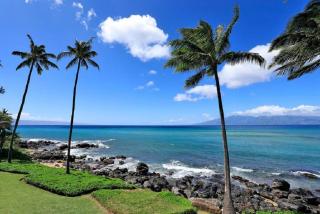 Noelani 207 - Kahana - 0