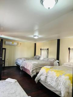La Delphina Bed and Breakfast Bar and Grill - La Ceiba - 9