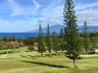 Kapalua Golf Villa 27V 3 - Kahana - 3