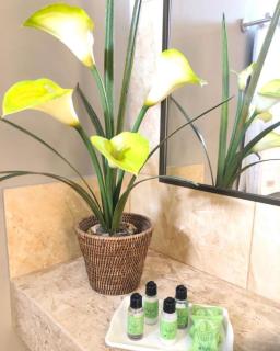 HOTEL IBIZA CUMBUCO - 3