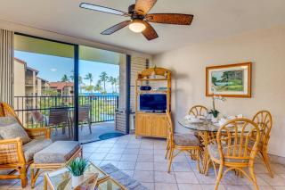 Papakea H301 - Kahana - 4
