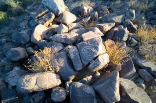 R&R in Saguaro Natl Park - Avra - 2