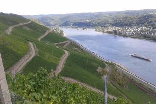 Fewo Auszeit 1 - Harschbach - 1