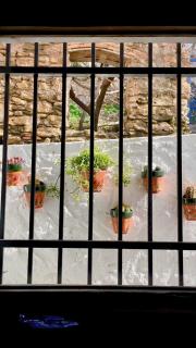 Casa Amigos Sorvilan- La Palmera - 1