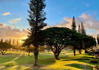 Kapalua Golf Villa 15T 7&8 - 4