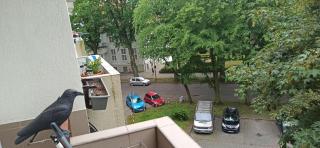 Cichy Zakątek Kołobrzeg - 6