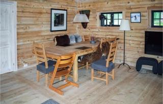 Gorgeous Home In Rauland With Sauna - Rauland - 8