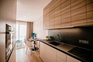 Apartma 2+2 v mestu Ljubljana (V325) - Ljubljana - 4