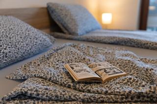 Cozy apartment Una Rovinj - 5