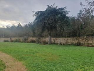 Domaine de la Courbe Hôtel & Spa - Le Lude - 8