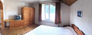 Guesthouse Classic - Dospat - 6