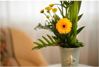 Hotel Krone Unterstrass - Zurich - 8