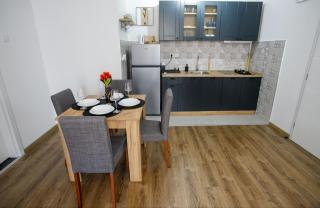 Apartman Paratetis 1 - Palić - 7