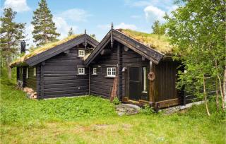 Gorgeous Home In Rauland With Sauna - Rauland - 4