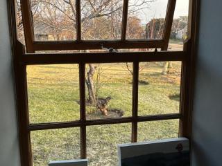 Fouriesburg Country House and Cottage - 7