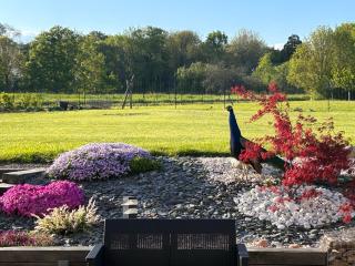 Gite 1er Cru - La Loubertine - 2