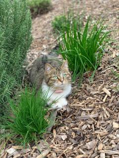 Gite 1er Cru - La Loubertine - 9