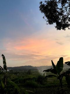 Villa Sare - House with panorama rice field view - Yogyakarta - 4
