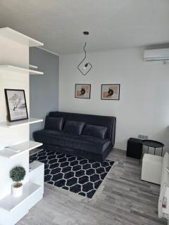 Apartman Daniela - Sarajevo - 8