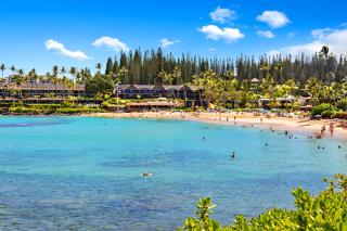 Napili Shores D132 - 9