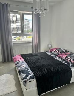 Lux Apartment - Katowice - 0