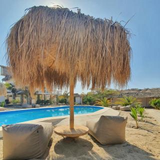 Oasis de Vichayito - Vichayito - 0