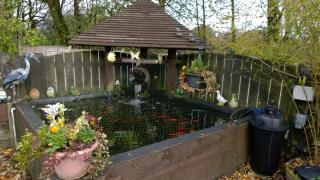 Fern Farm Cottages - 6