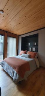 Hermoso monoambiente de diseño único, con patio, en el centro de SMA. 4v5 - San Martín de los Andes - 8